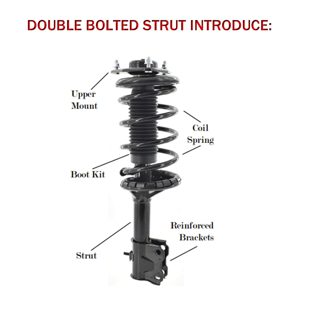 Front And Rear Complete Strut Assembly Shock Absorber Sway - View #6